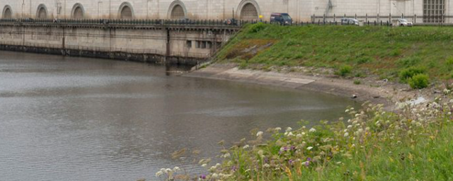 «РусГидро» готова начать строительство противопаводковых ГЭС в Приамурье в 2024 году